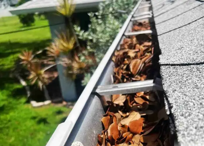 Olathe gutter cleaning home page